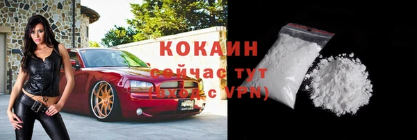 спиды Магас