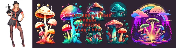 МДМА Арсеньев